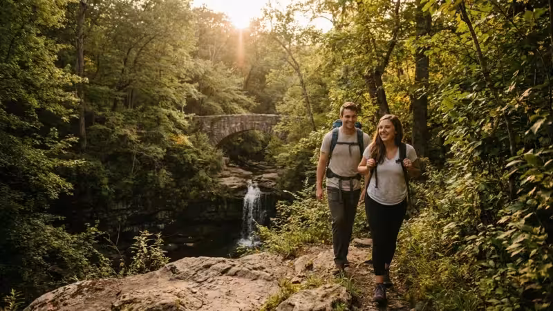 Discovering Local Parks: Hidden Gems Near You - guide