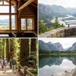 Unveiling the Beauty of National Parks: Best Parks for Seniors - guide