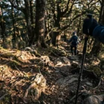 Walking Poles: Enhancing Stability and Reducing Strain - guide
